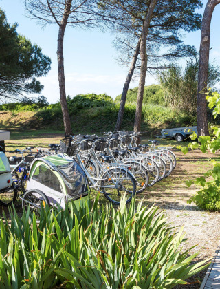 Fietsen en golfkar staan bij bomen op Flower Camping Tamarins Plage in Nouvelle-Aquitaine, Frankrijk.