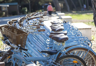 Varias bicicletas azul claro con cestas estacionadas en Flower Camping Tamarins Plage en Nouvelle-Aquitaine, Francia.