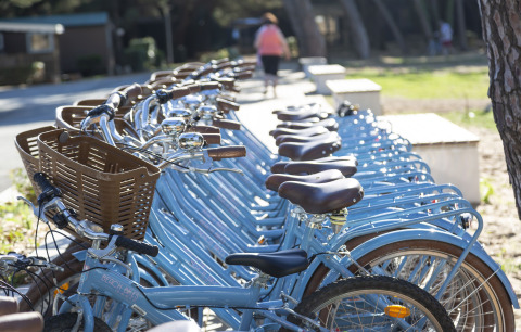 Multiple light blue bicycles with baskets parked at Flower Camping Tamarins Plage in Nouvelle-Aquitaine, France.