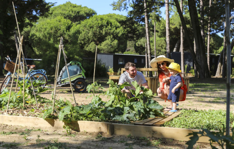 Famille profitant d'une journée ensoleillée dans un potager à Flower Camping Tamarins Plage, en France.