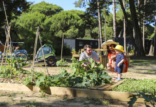 Gezin beleeft samen een zonnige dag in de moestuin op Flower Camping Tamarins Plage in Frankrijk.
