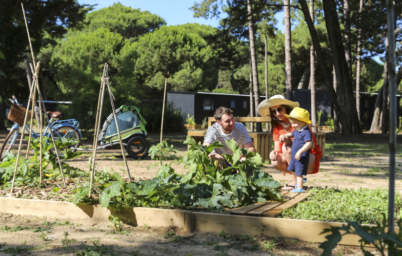 Gezin beleeft samen een zonnige dag in de moestuin op Flower Camping Tamarins Plage in Frankrijk.