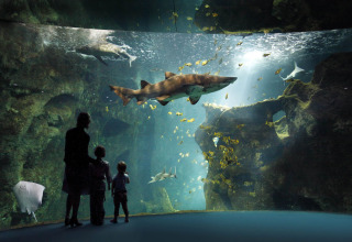 Eine Familie betrachtet Haie und Fische im großen Aquarium bei Le Bois-Plage-en-Ré, Frankreich.