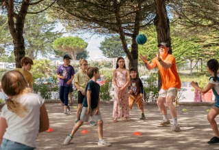 Des enfants jouent à la balle avec un adulte sous les arbres au Flower Camping Le Bois d'Amour en Bretagne, France.