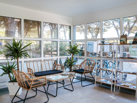 Bright waiting area with wicker chairs, green plants and large windows at Flower Camping Le Bois d'Amour, Brittany.