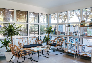 Bright waiting area with wicker chairs, green plants and large windows at Flower Camping Le Bois d'Amour, Brittany.