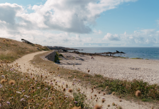 Beachside path at Flower Camping Le Bois d'Amour in Brittany, France with sand, sea, and wildflowers.