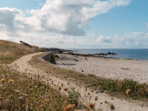 Beachside path at Flower Camping Le Bois d'Amour in Brittany, France with sand, sea, and wildflowers.