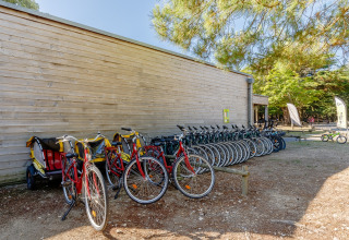 Fila di biciclette e rimorchi davanti a un edificio di legno al Camping Demoiselles Plage, Pays de la Loire, Francia.