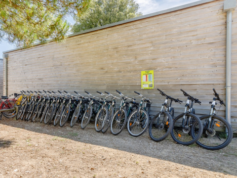 Fila di biciclette a noleggio parcheggiate davanti a una parete di legno al Camping Demoiselles Plage, Pays de la Loire, Francia.