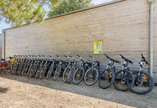 Fila di biciclette a noleggio parcheggiate davanti a una parete di legno al Camping Demoiselles Plage, Pays de la Loire, Francia.