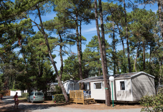 Mobile home surrounded by pine trees at Flower Camping Les Dunes, Pays de la Loire, France, on a sunny day.