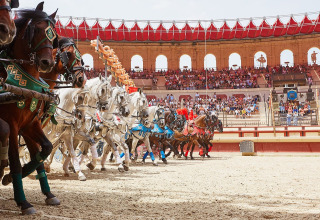 Rievocazione di una corsa di bighe con cavalli e pubblico nell’arena di Flower Camping Les Dunes, Francia.