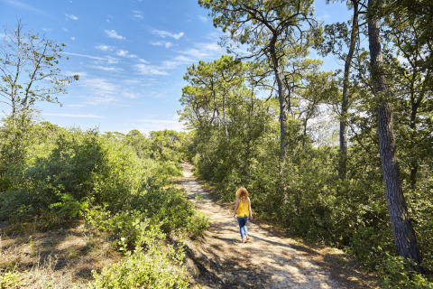 Persona caminando por un sendero soleado y arbolado en Flower Camping Les Dunes, Pays de la Loire, Francia.