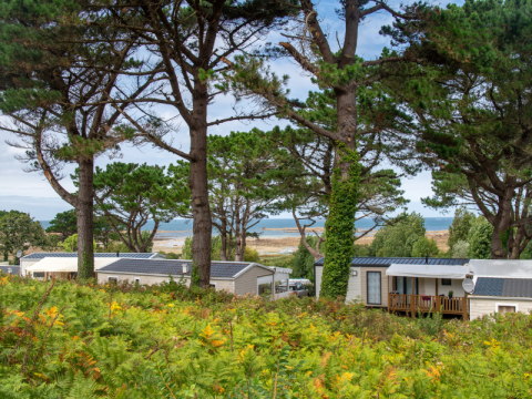 Holiday mobile homes beneath pine trees near the Brittany coast at Flower Camping Port de la Chaîne in France.