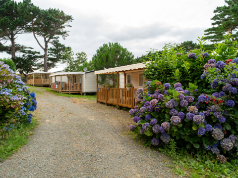 Stacaravans en bloeiende hortensia’s langs een grindpad op Flower Camping Port de la Chaîne in Bretagne, Frankrijk.