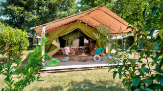 Freeflower Standard safari tent with open terrace, comfortable chairs, and lush greenery surrounding it.