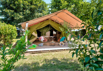 Safari tent Freeflower Standard met open terras, gezellige stoelen en groene, natuurlijke omgeving.