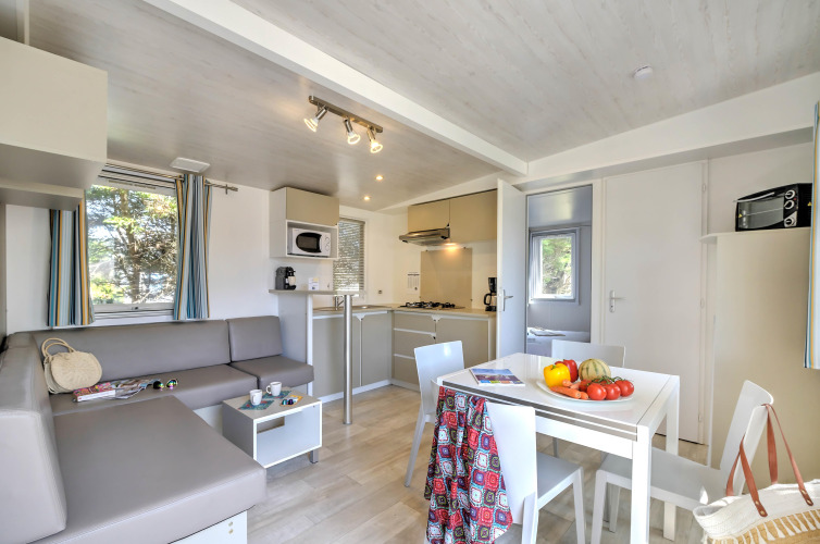 Moderne Glamping-Unterkunft mit heller Küche, Essbereich, grauem Sofa und großen Fenstern.