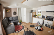 Moderne glampingverblijf met woonkamer, keuken, eettafel en een grote grijze zetel.