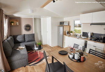 Moderne glampingverblijf met woonkamer, keuken, eettafel en een grote grijze zetel.