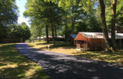 Freeflower Standaard safari tent at Flower Camping La Plage in France, nestled among trees and natural surroundings.