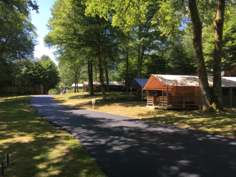 Safari-teltet Freeflower Standaard på Flower Camping La Plage i Frankrig, omgivet af grønne træer og natur.