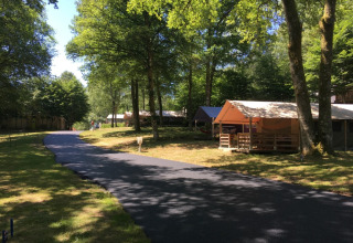 Safari-teltet Freeflower Standaard på Flower Camping La Plage i Frankrig, omgivet af grønne træer og natur.