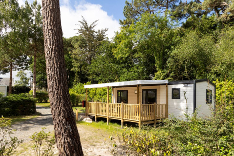 Alloggio glamping Stacaravan Premium immerso tra alberi verdi con terrazza in legno all'esterno.