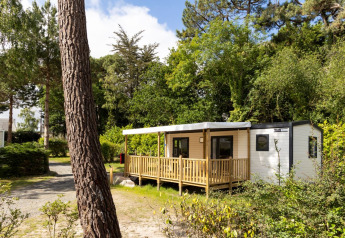 Stacaravan Premium glamping-indkvartering omgivet af træer og grøn natur under klar blå himmel.