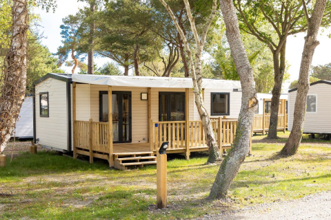 Stacaravan Premium Chalet mit Holzterrasse im Grünen, umgeben von Bäumen und sonniger Atmosphäre.