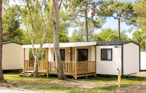 Vista esterna dello chalet Stacaravan Premium al Flower Camping Le Vieux Moulin in Francia tra alberi verdi.