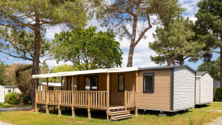 Outdoor view of the Stacaravan Premium cabin, surrounded by tall trees and greenery on a sunny day.