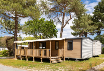 Vue extérieure de la cabane Stacaravan Premium, entourée d’arbres et de verdure sous un ciel ensoleillé.
