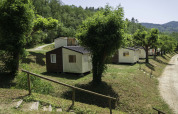 Canvas Mobile-Home Tithome bij Flower Camping Mas de Champel in Frankrijk, omgeven door bomen en heuvels.