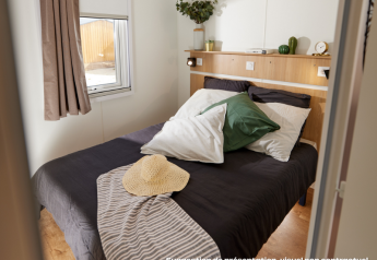 Knusse glamping slaapkamer met tweepersoonsbed, kussens, planten en daglicht door het raam.