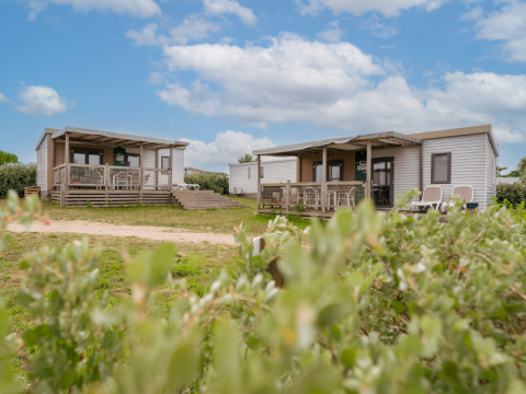 Twee Homeflower Premium-chalets met veranda en tuinmeubels, omgeven door groen en onder een blauwe lucht.