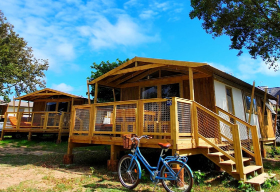 Sweetflower op palen Premium lodge met houten veranda, blauwe fiets ervoor en een heldere blauwe lucht.