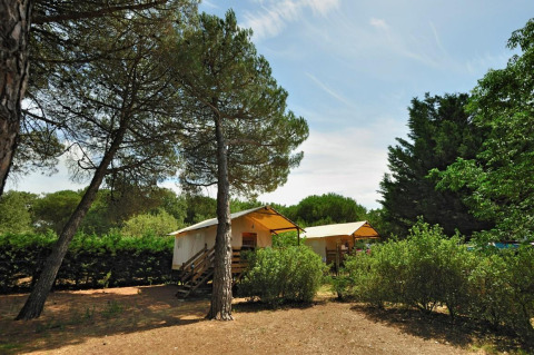 Tente safari Hut lodge op heipalen Standaard entourée d’arbres et de buissons dans la nature.