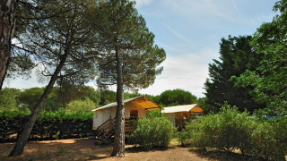 Safari-Zelt Hut lodge op heipalen Standaard inmitten von Bäumen und Büschen an einem sonnigen Tag.