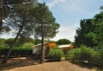 Tente safari Hut lodge op heipalen Standaard entourée d’arbres et de buissons dans la nature.