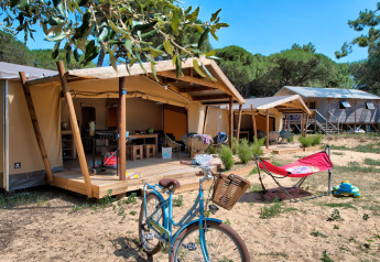 Safari telt Ecolodge Cotton Comfort med udendørs terrasse, cykel og liggestol i naturskøn campingplads.