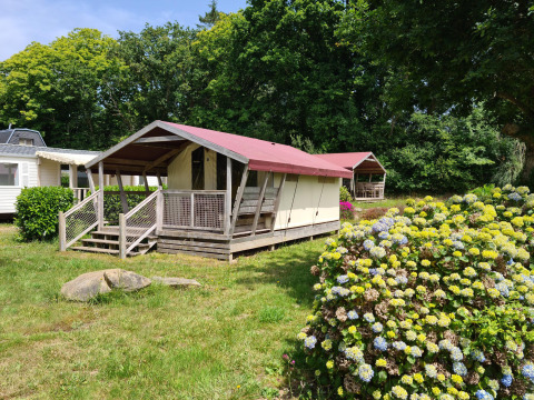 Tente safari Freeflower Standard sur un camping verdoyant, avec des buissons en fleurs et des arbres derrière.