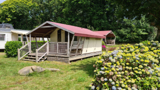 Tienda safari Freeflower Standard en un camping verde con arbustos en flor y árboles altos al fondo.