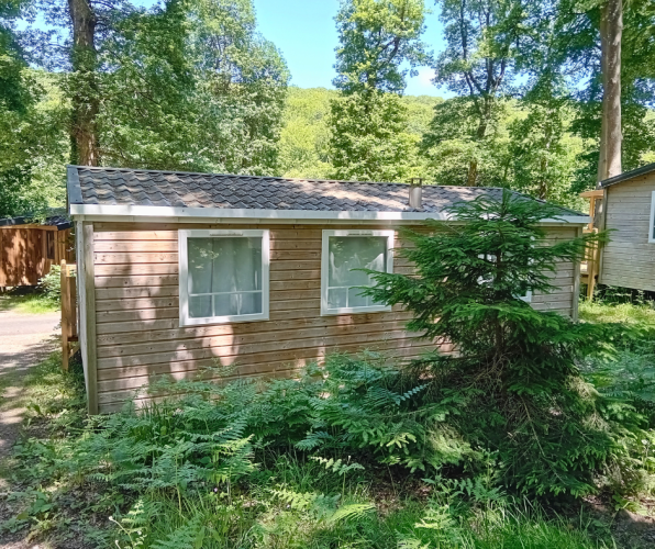 Standard wooden mobile home at Flower Camping La Chênaie in France, surrounded by trees and greenery.