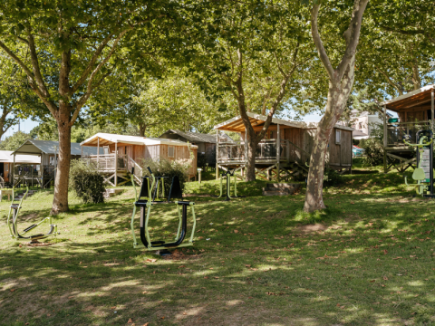 Cosy wooden cabins surrounded by lush trees and outdoor gym equipment under the sunlight on grass.