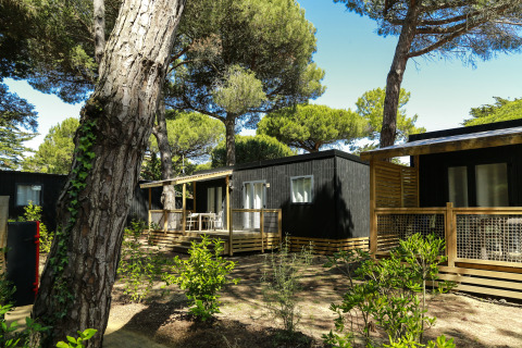 Hébergements glamping avec terrasse sous les pins, parfaits pour profiter d’un séjour confortable en plein air.