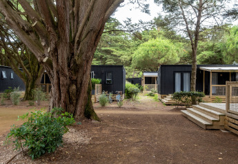 Vista di moderne cabine nere in un lodge immerse tra alberi alti e sentiero naturale in un bosco tranquillo.