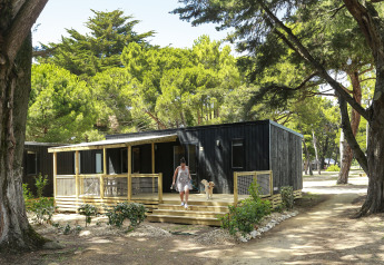 Kvinde og hund på verandaen foran luksustelt omgivet af skov i glamping-indkvartering om sommeren.