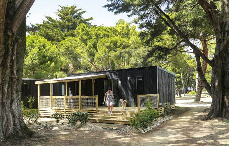 Frau mit Hund verlässt eine moderne Glamping-Hütte inmitten grüner Bäume und Natur im Sommer.